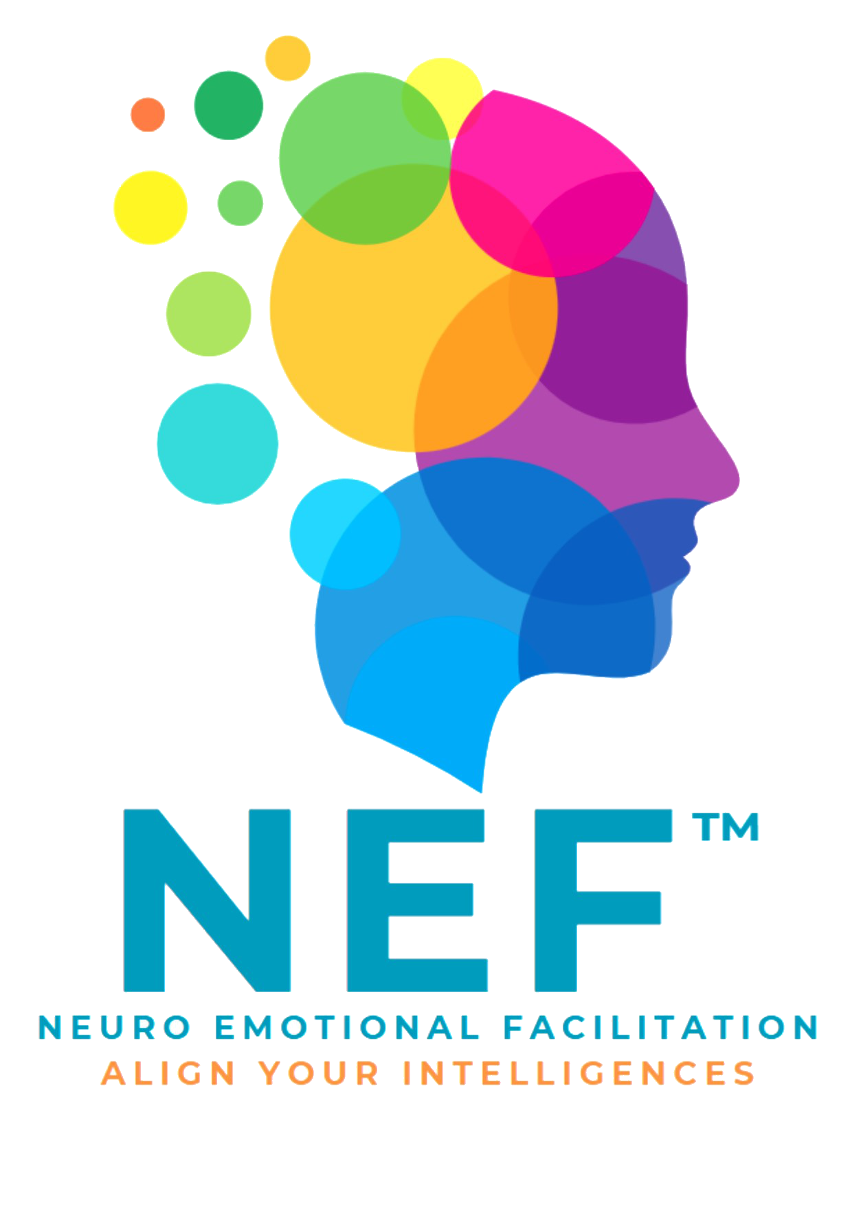 neuro emotinal facilitation - logo